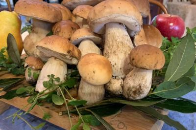 ristorante macalle novara momo migliore riso novarese